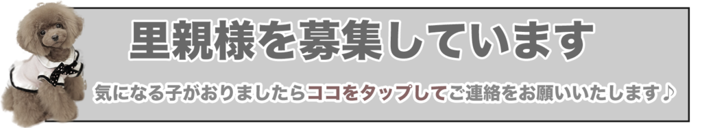 ONEわん親バカへの道