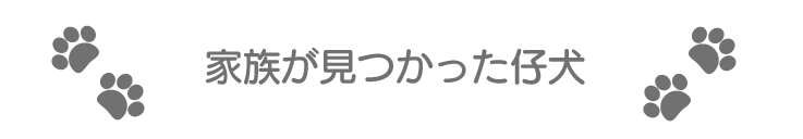 ONEわん親バカへの道